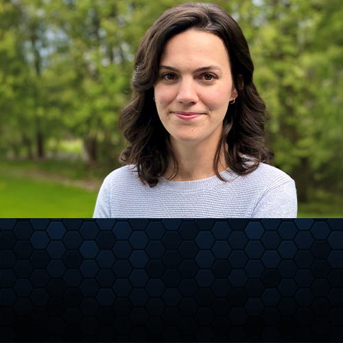 Daly Wins INSA Industry Achievement Award