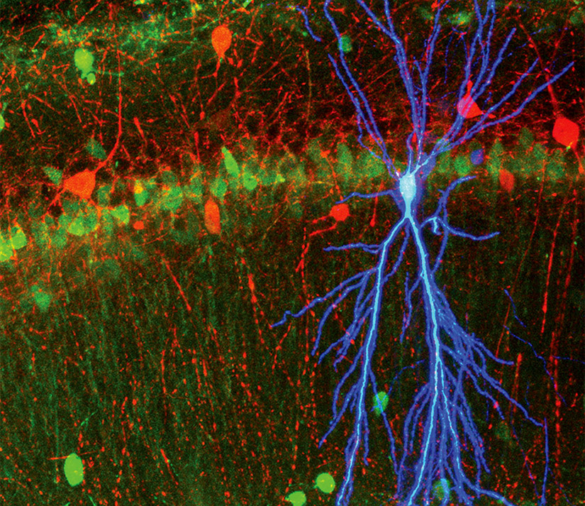 graphic for innovation